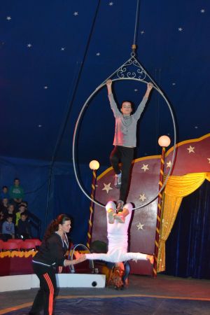1.Zirkus_Bellissimo50b